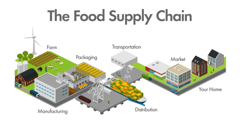 Learning-to-Optimization: A Graph-Structured Decision Framework for Food Safety